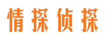 辉县调查公司